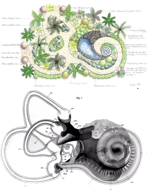 Design Layout Based on the Anatomy of the Inner Ear